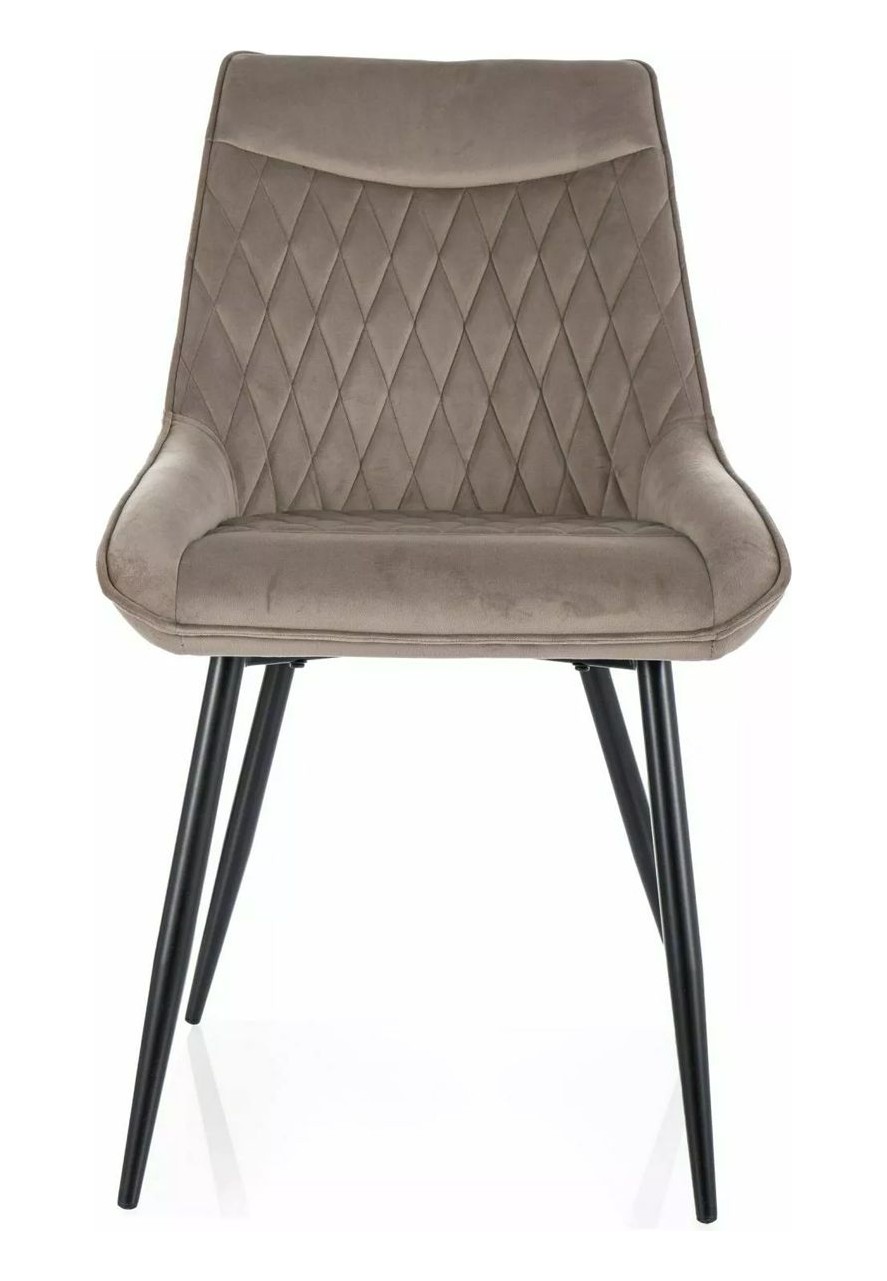 Alvero Velvet