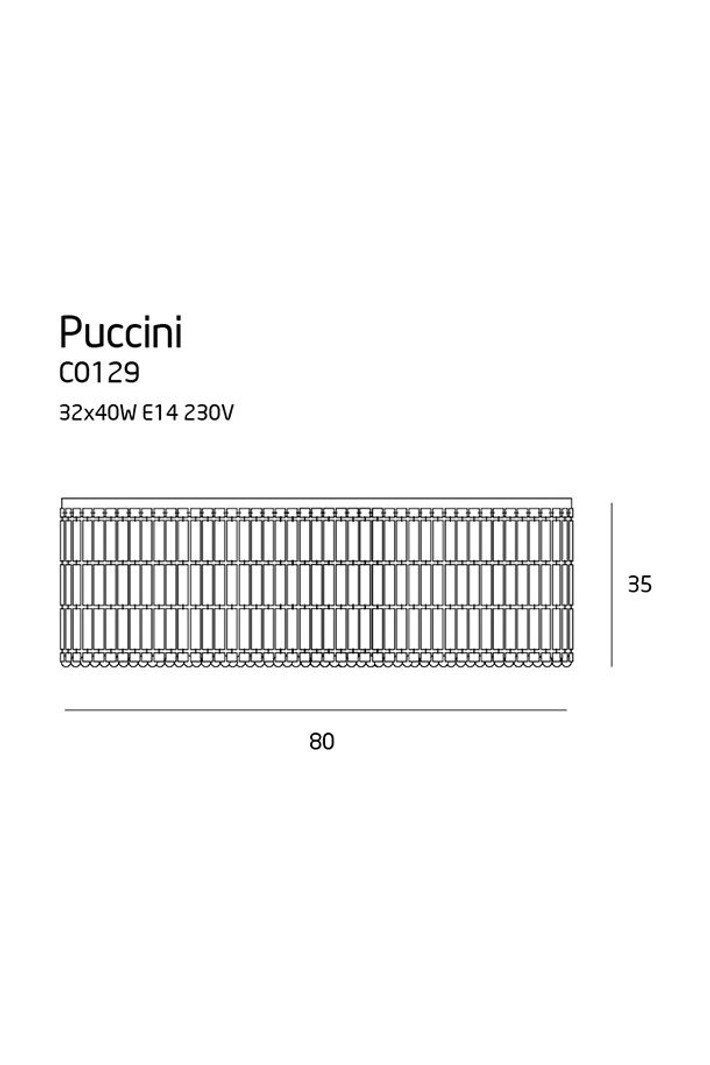 Puccini 80cm