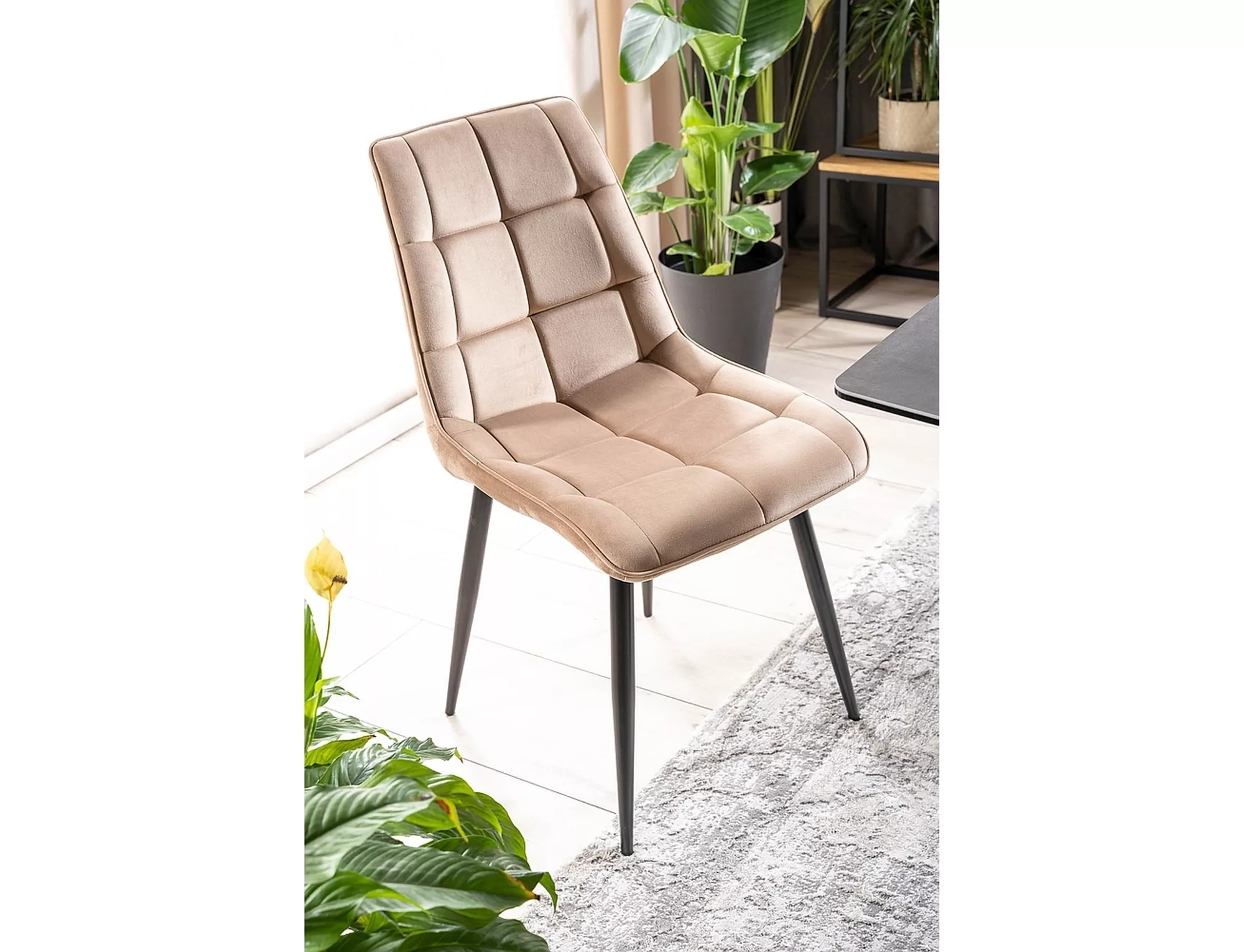Stelvia Chair Velvet