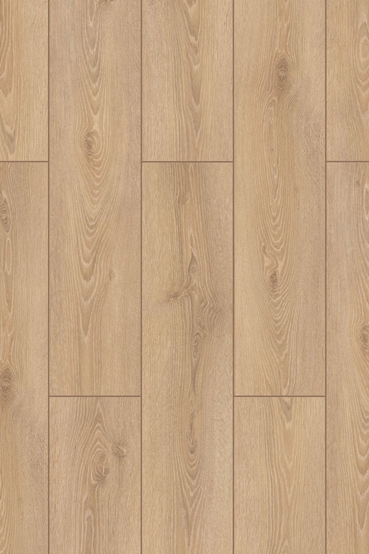ProfiTrend Prime 8 mm Rialto – Laminált padló