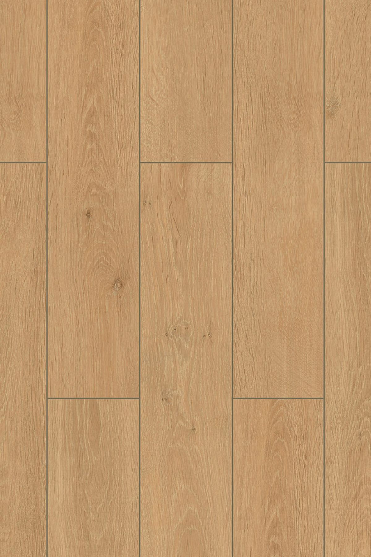 ProfiTrend Wings 8 mm Lark – Laminált padló