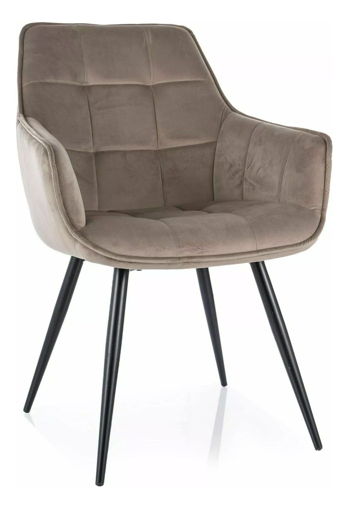 Melodia Velvet