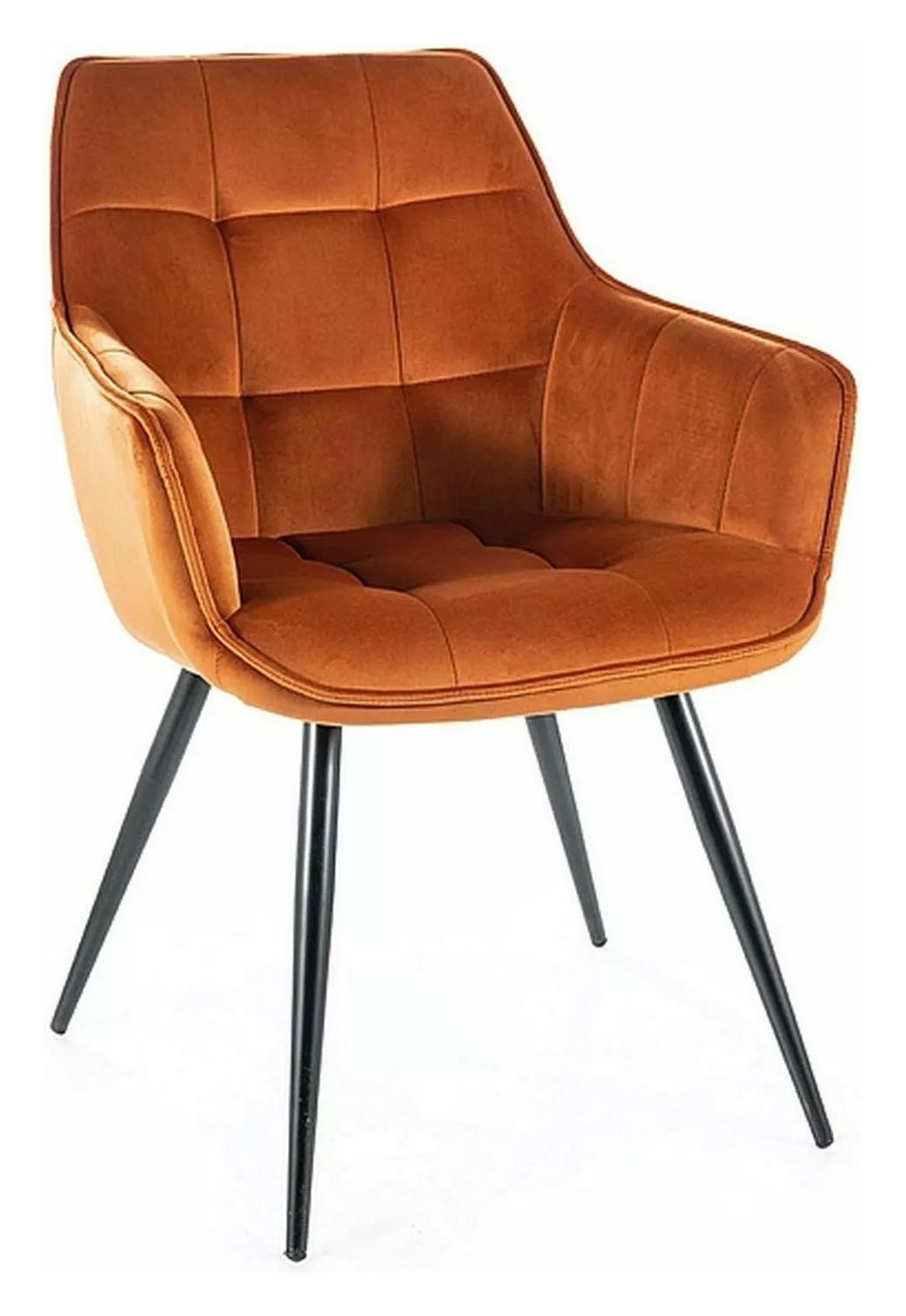Melodia Velvet