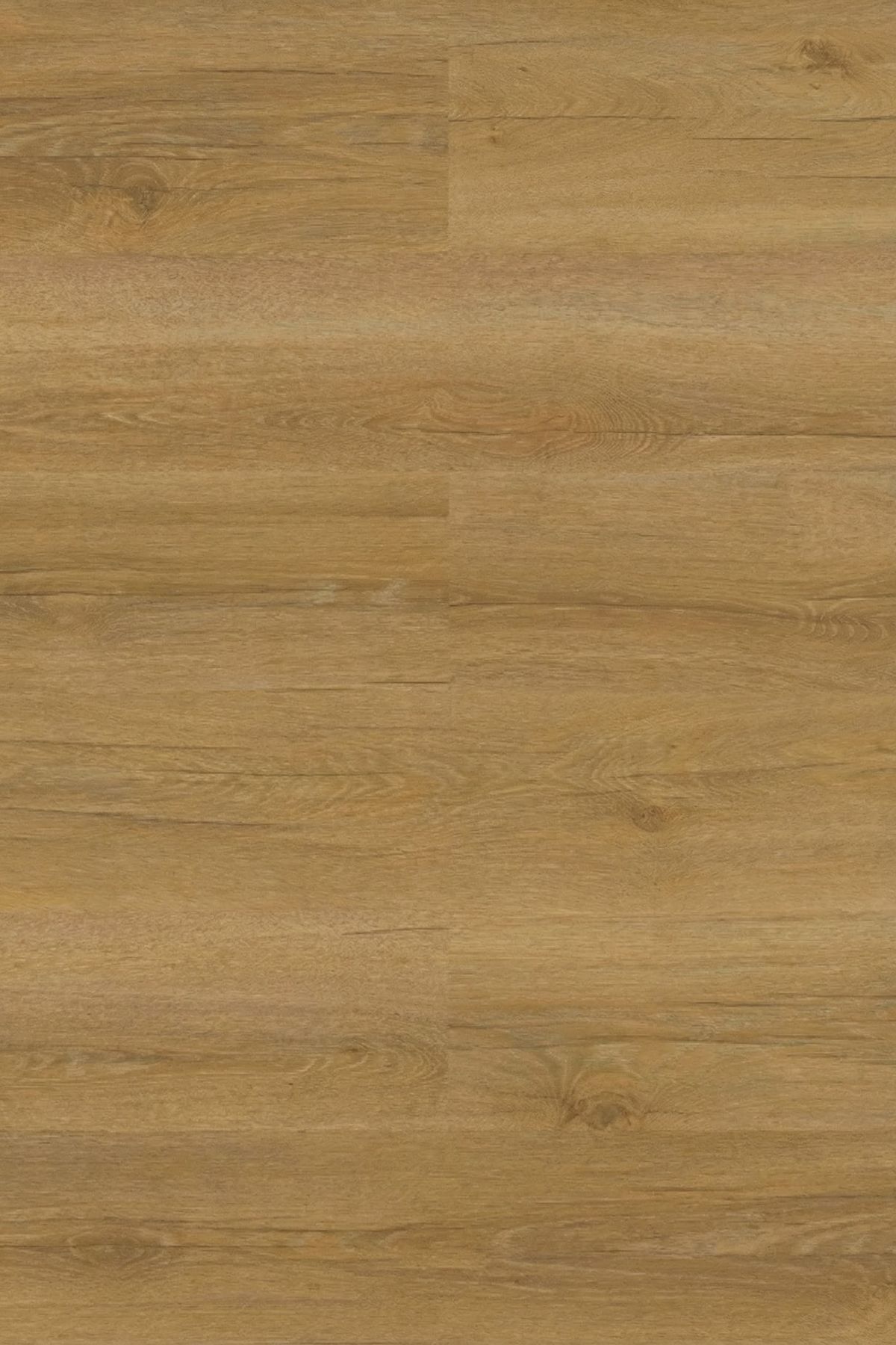 ProfiTrend 7 mm Balear – Laminált padló