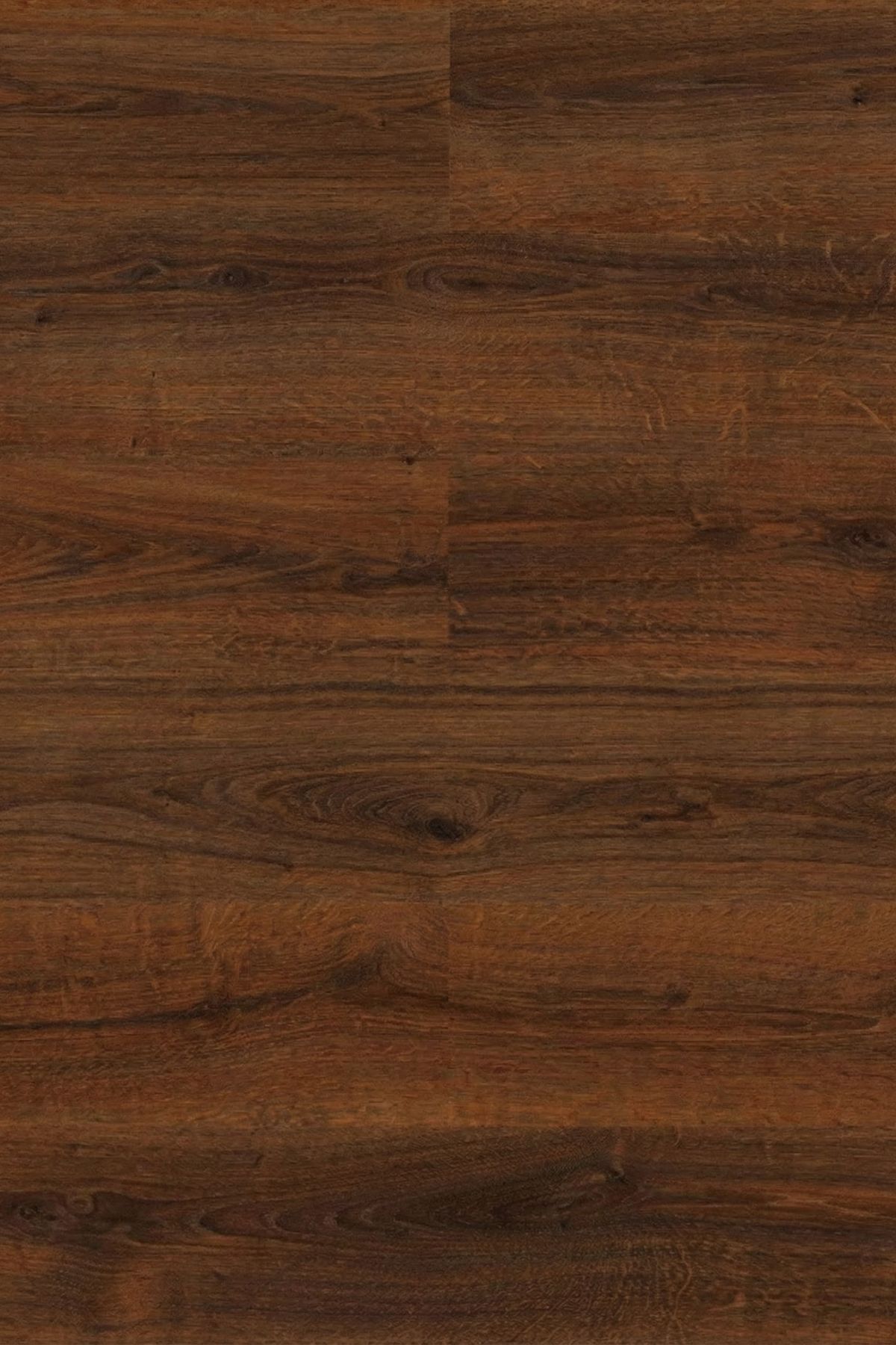 ProfiTrend 8 mm Cordoba – Laminált padló