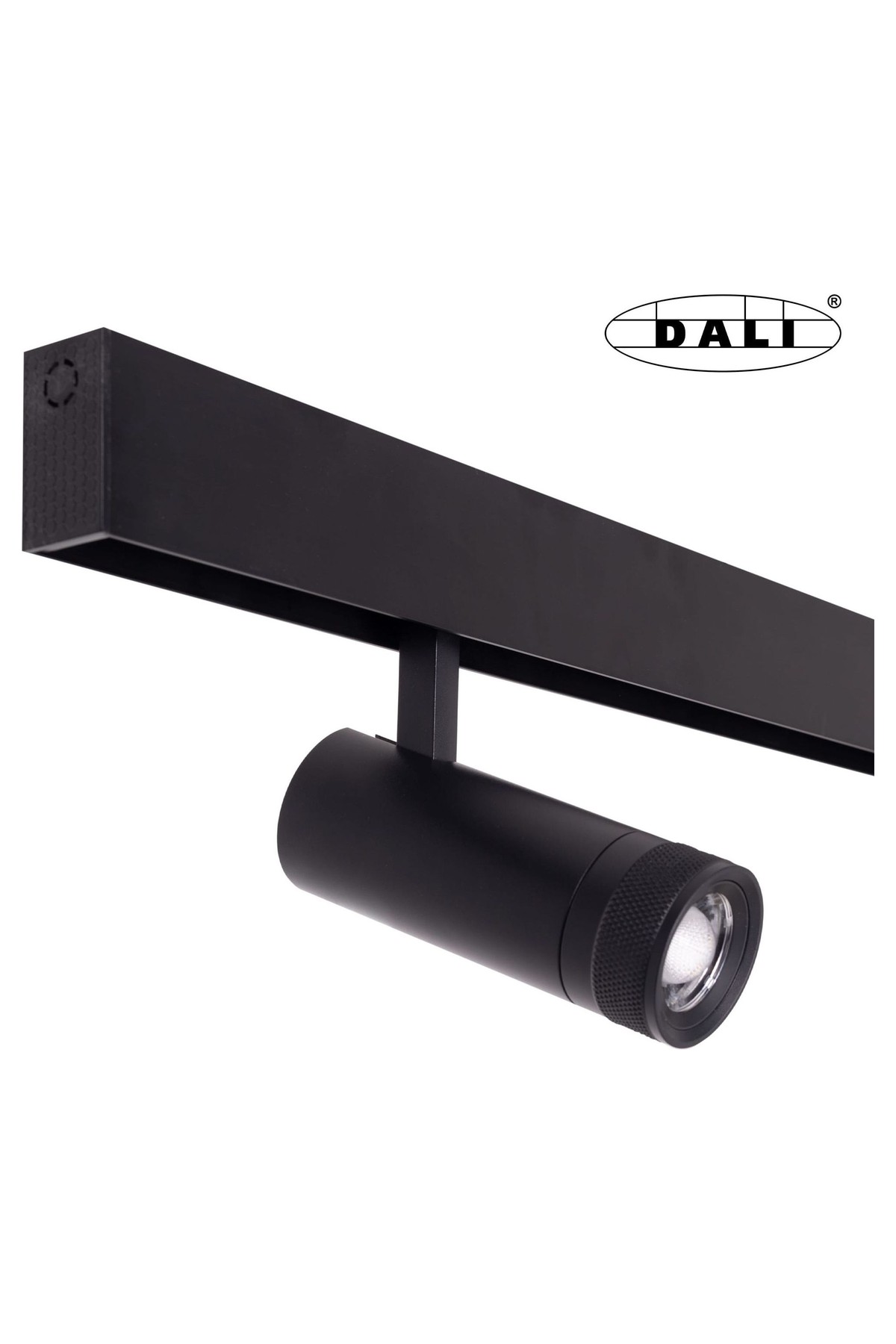 Magnetic Zoom Refelctor Dali