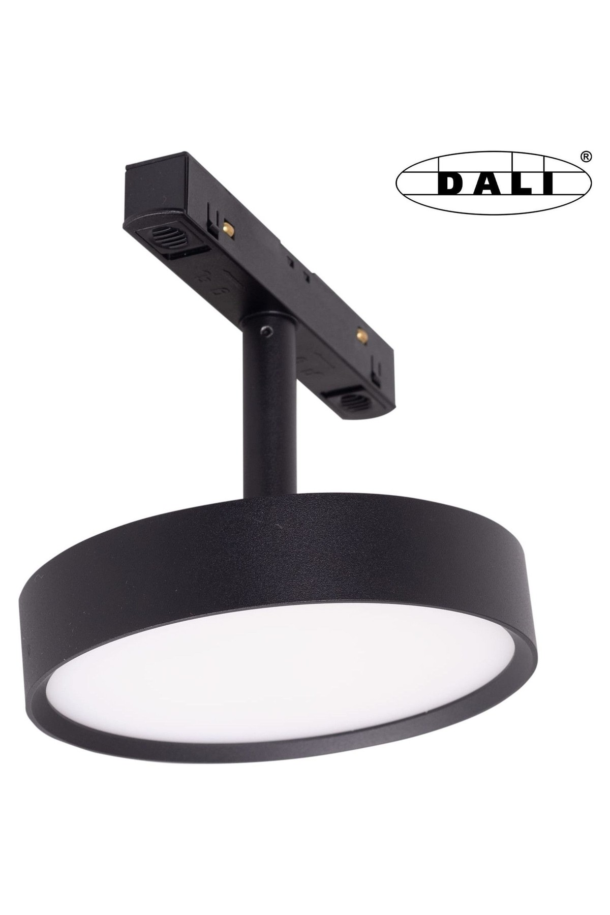 Magnetic Spotlight 12W Dali