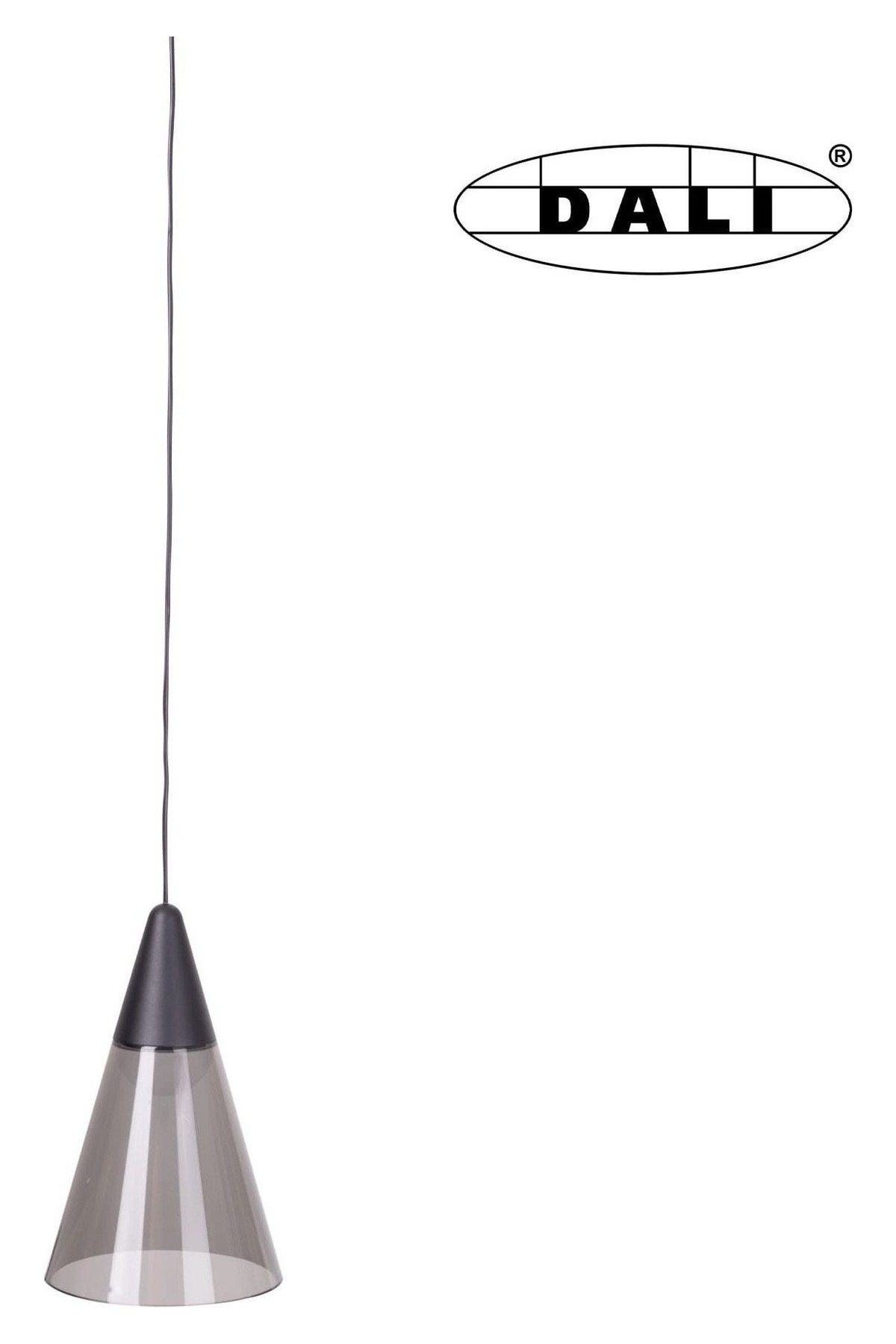 Magnetic Pendant Shade Dali