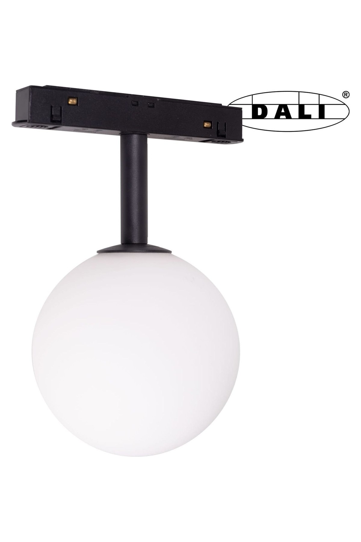 Magnetic Fixed Globe Dali