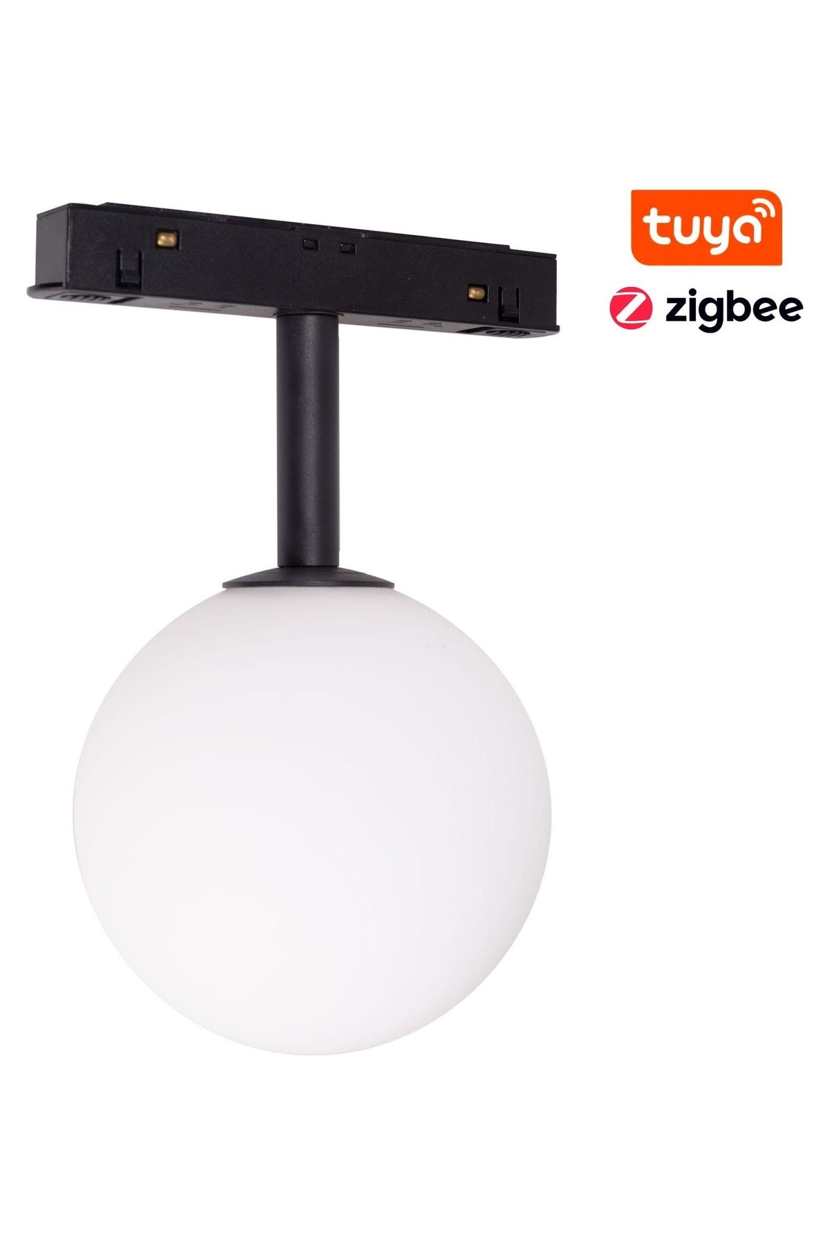 Magnetic Fixed Globe Zigbee