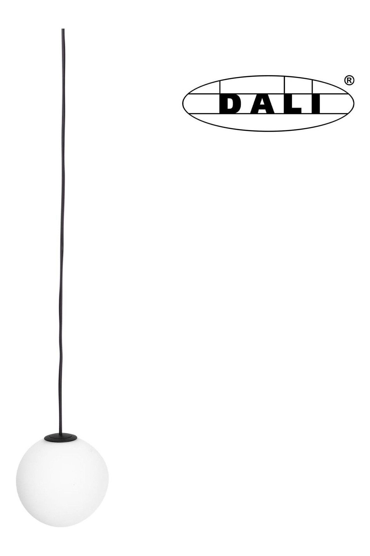 Magnetic Pendant Globe Dali