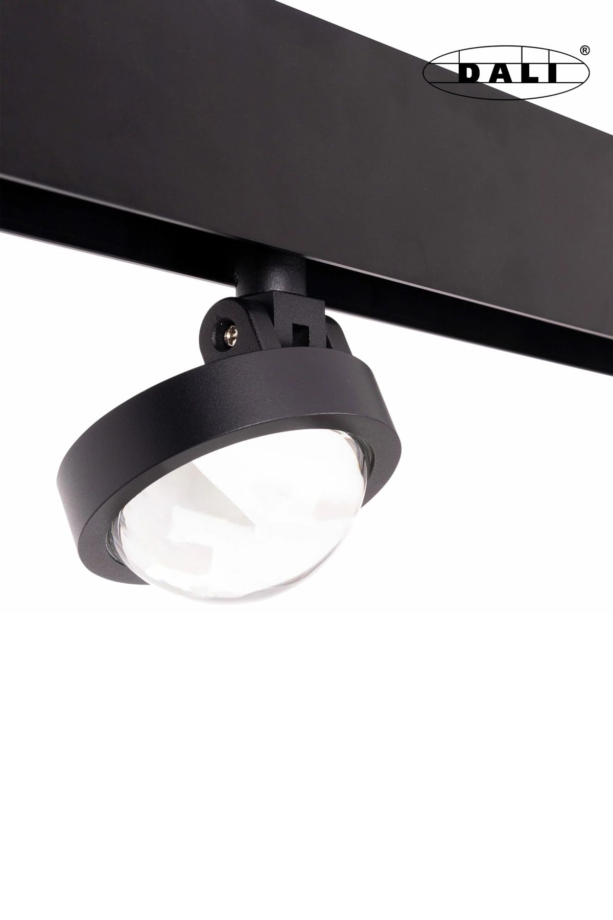 Magnetic Spotlight Dali