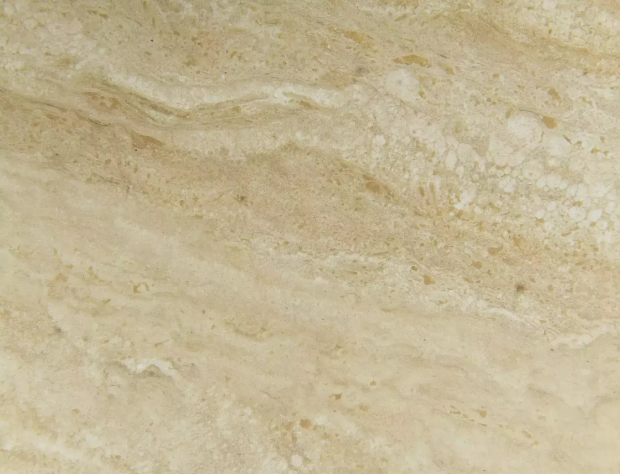 Moncleria
