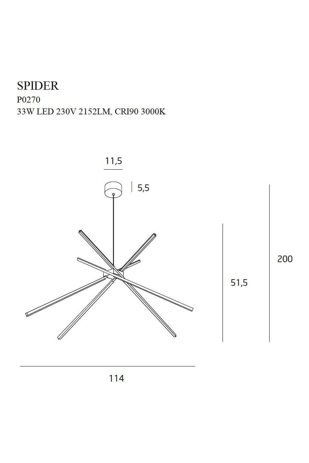Spider