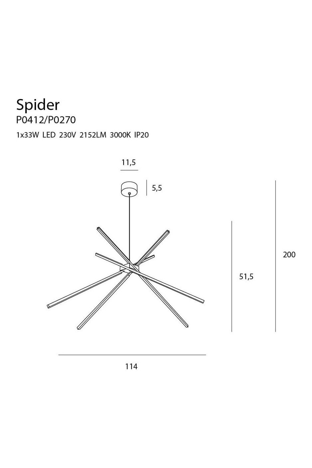 Spider