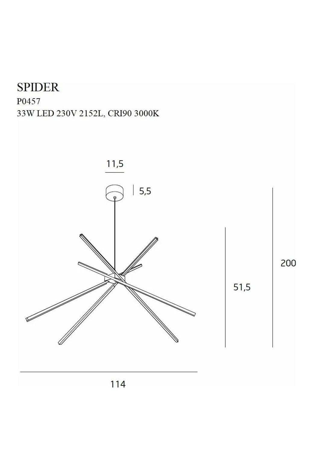 Spider