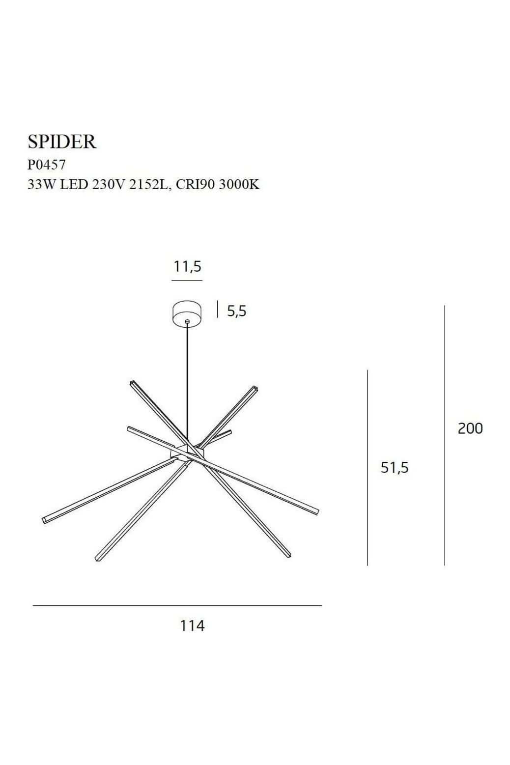 Spider