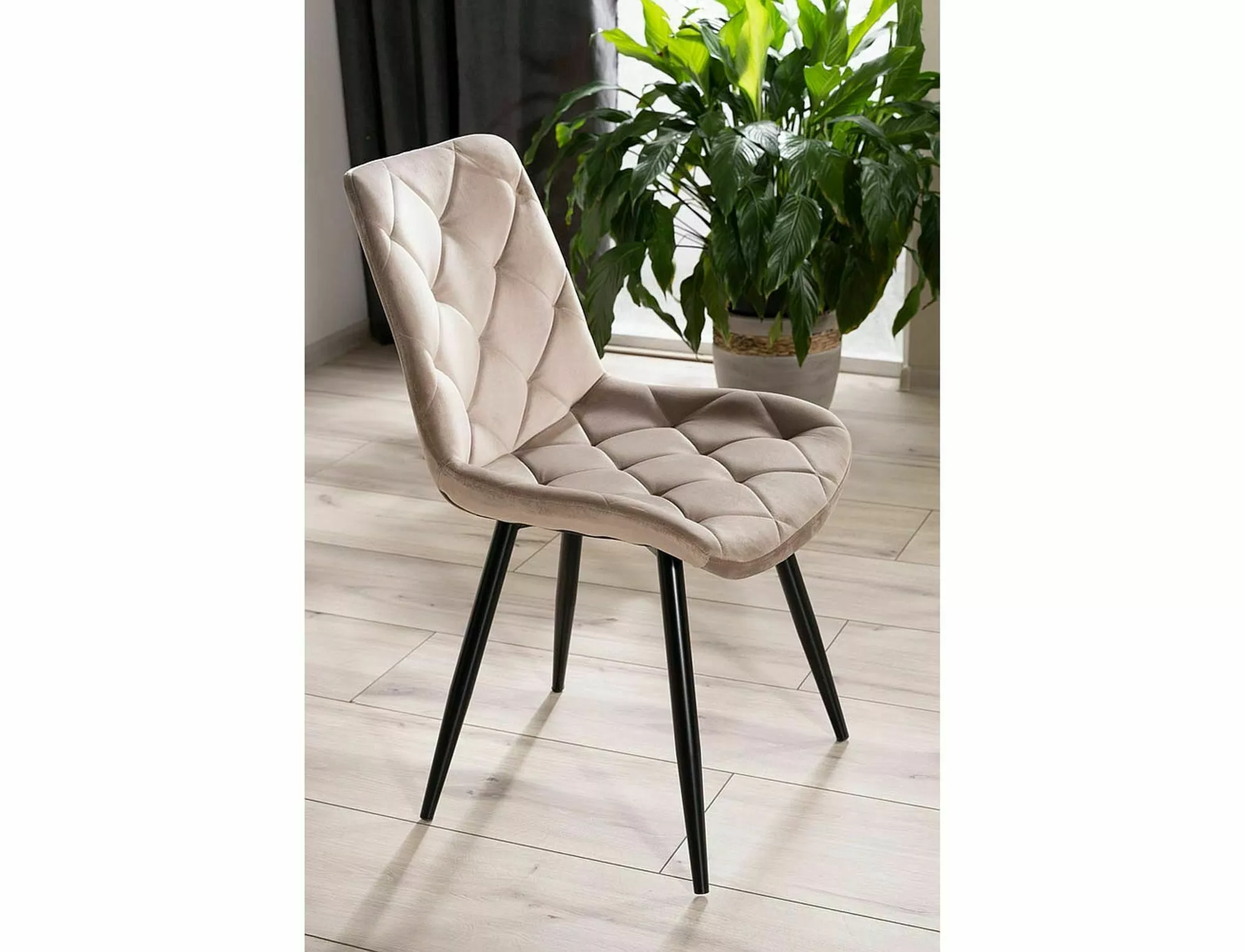Bristano Velvet