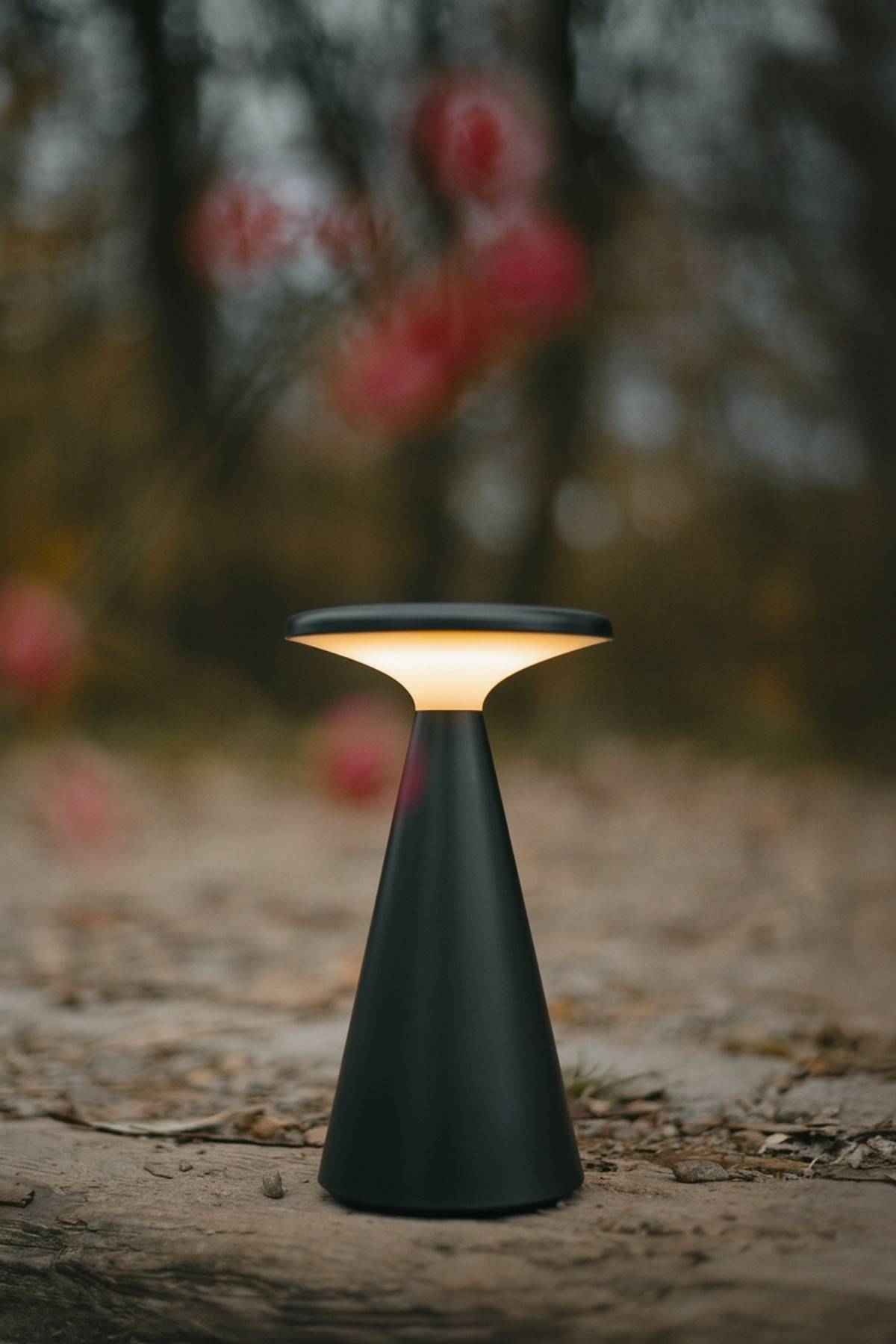 Funghi
