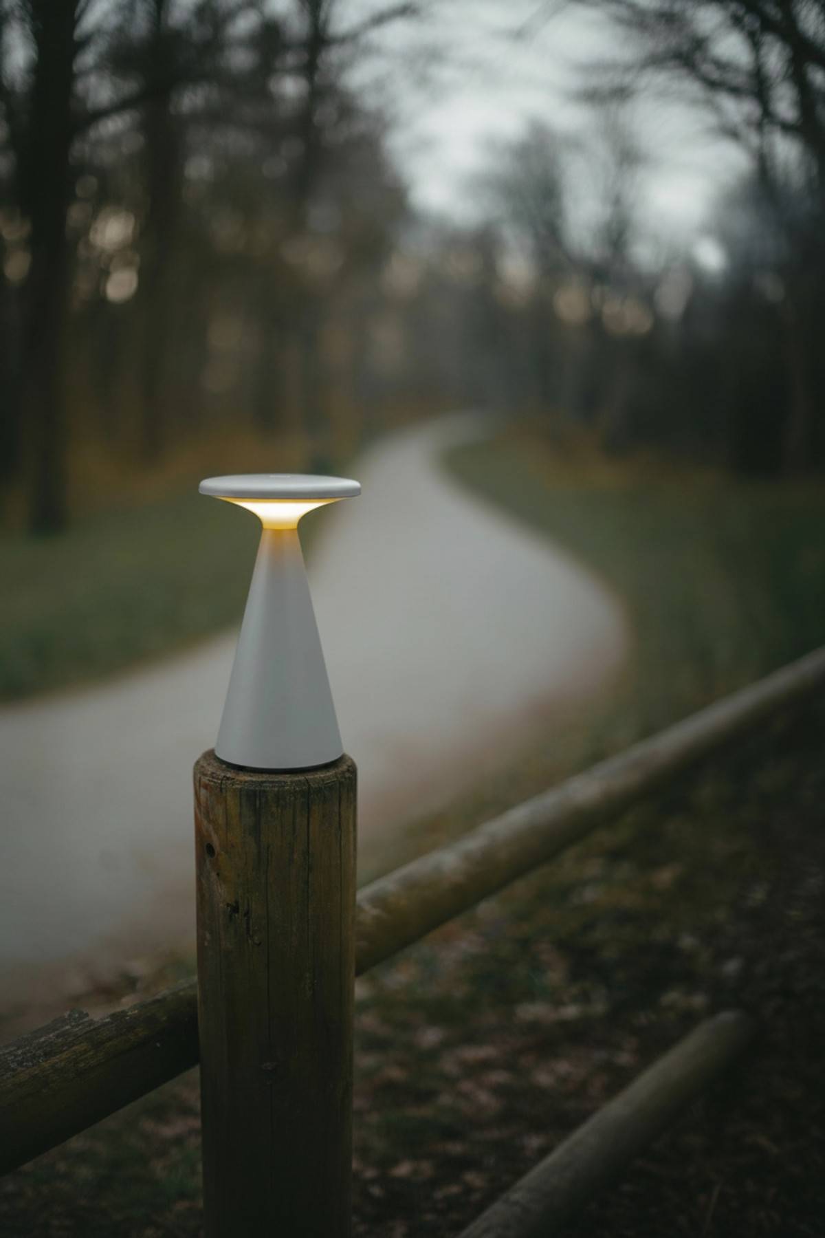 Funghi