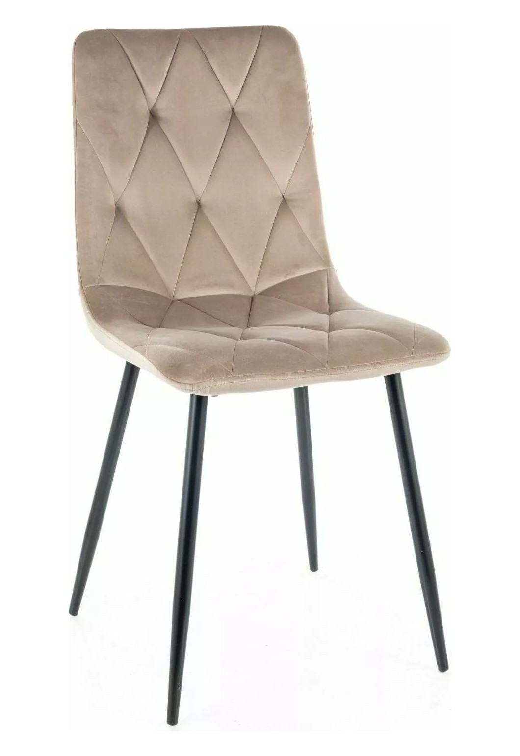 Belvano Velvet