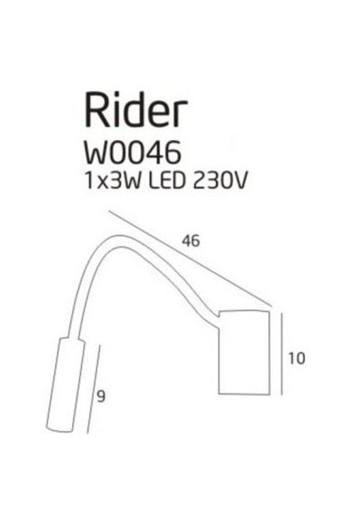 Rider