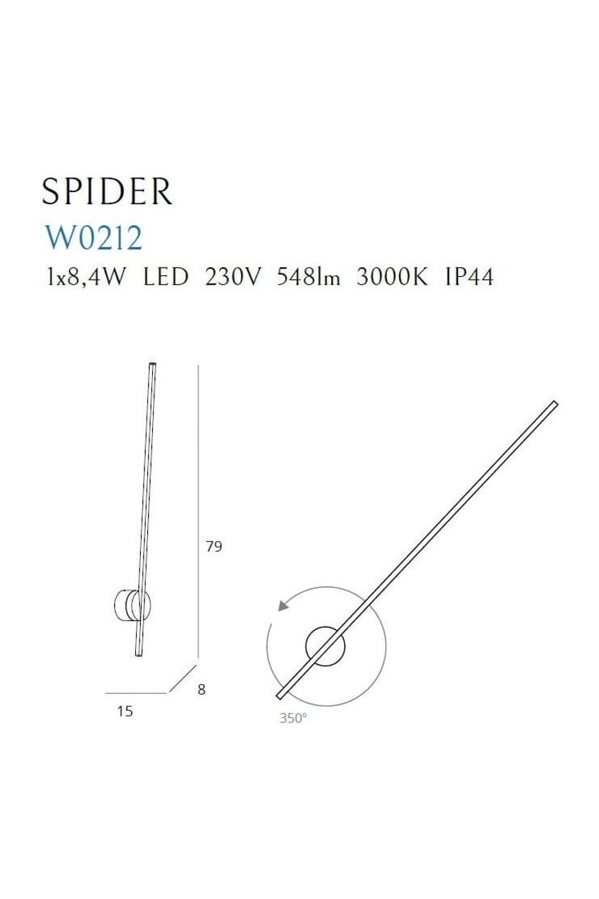 Spider