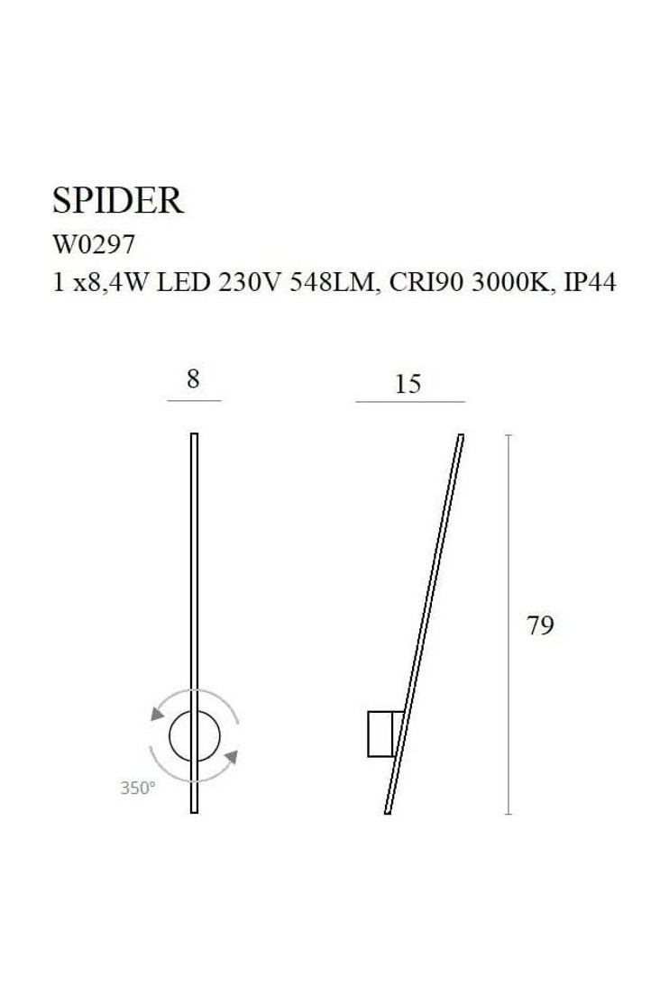 Spider